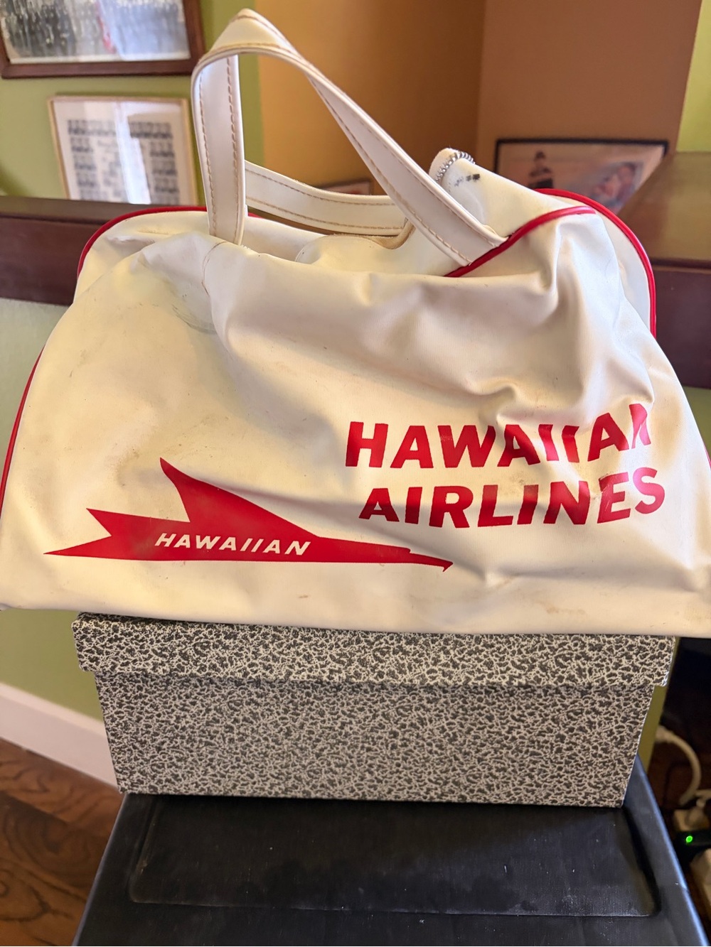 Vintage Hawaiian Airlines Bag